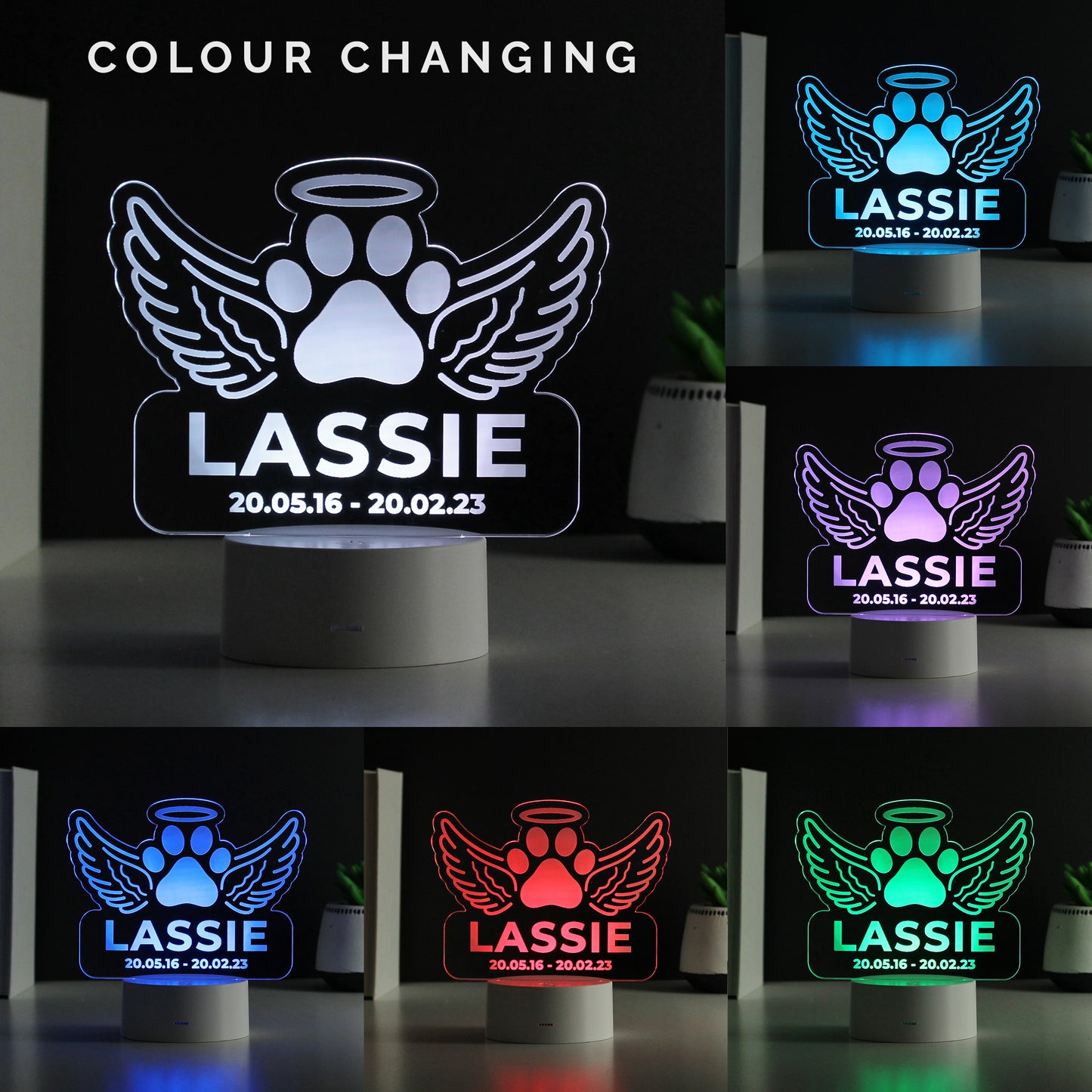 Personalised Pet Memorial Colour Changing LED Light